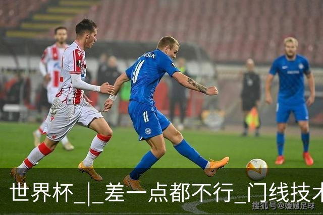 世界杯 | 差一点都不行 门线技术判定日本队并未进球